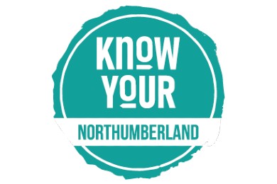 visit northumberland destination management plan