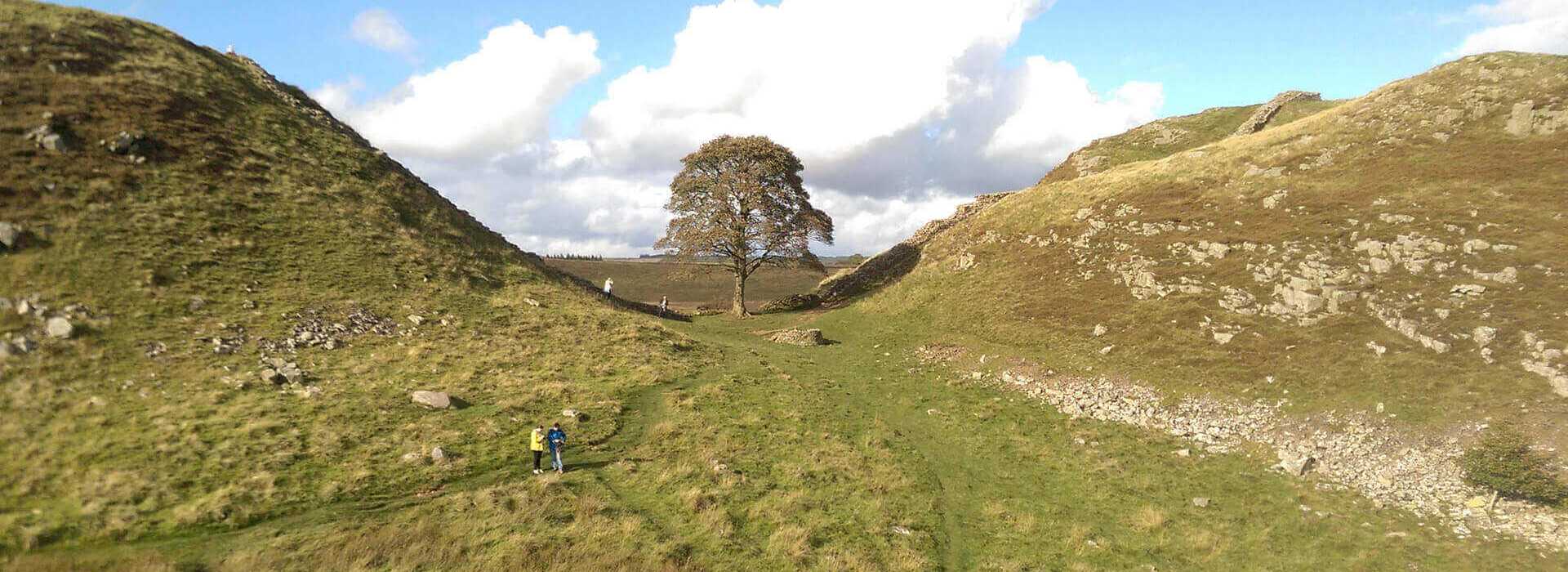 Sycamore Gap